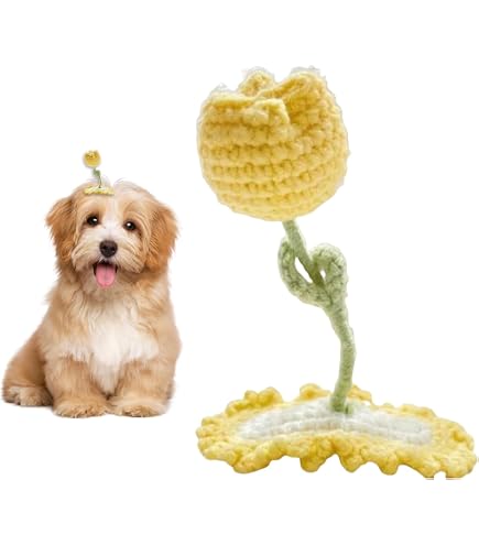 Amazon | FUNETO犬 猫 髪飾りアクセサリー 犬用 ヘアクリップ ヘアピン
